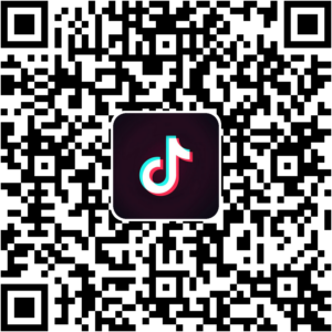 抖音小程序